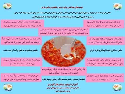 توصیه های بهداشتی دامپزشکی در خصوص ماهی قرمز